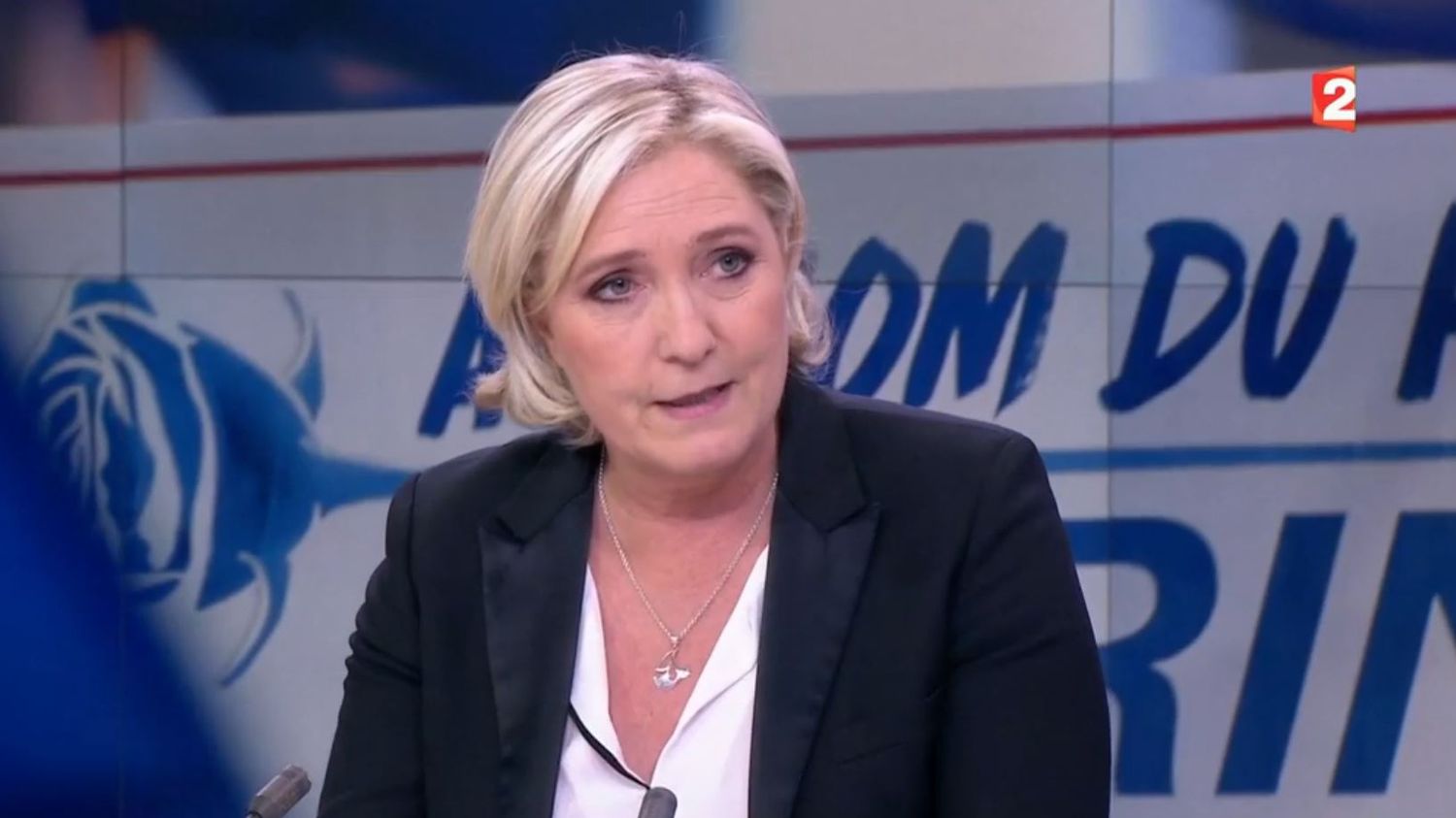 VIDEO. Regardez l'intégralité de l'interview de Marine Le Pen sur France 2