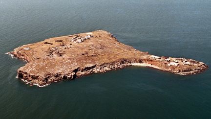 L'île aux serpents (Ukraine), en mer Noire, en septembre 2005. (GENYA SAVILOV / AFP)