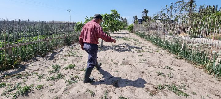 Ali Garci dans son exploitation agricole, en mai 2022. (LILIA BLAISE)