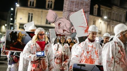 Le "défilé macabre" organisé par L214 à Bordeaux, le 31 octobre 2017. (THIBAUD MORITZ / MAXPPP)