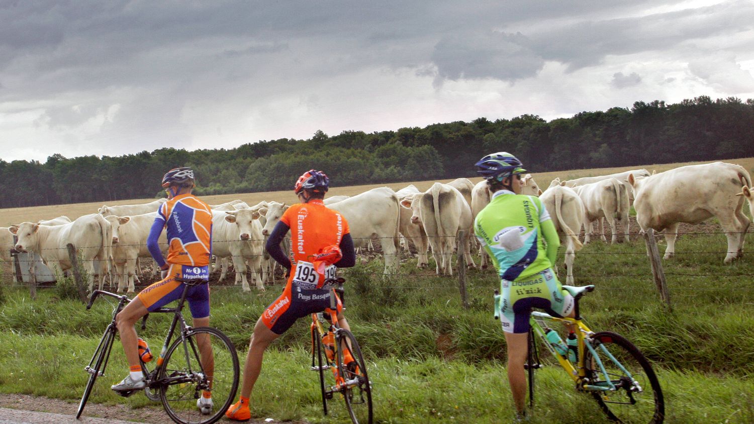 Tour De France Une Petite Histoire De La Pause Pipi