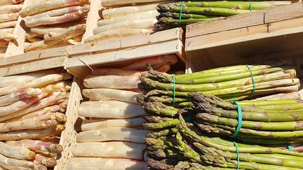 Des asperges sur l'étal d'un marché, au début du mois d'avril. (PATRICE CAILLET / RADIOFRANCE)