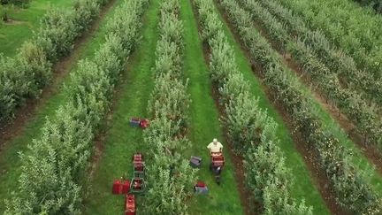 Peu de jeunes acceptent de nos jours de reprendre une exploitation agricole. Reportage. (CAPTURE D'ÉCRAN FRANCE 2)