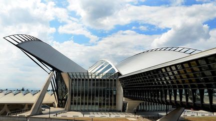 Lyon : coup de folie d'un homme à l'aéroport