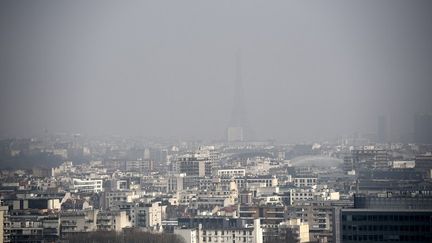 Une vue de Paris, le 18 mars 2015, lors d'un pr&eacute;c&eacute;dent pic de pollution. (FRANCK FIFE / AFP)