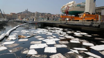 Un barrage flottant a été mis en place&nbsp;et des feuilles absorbantes installées pour contenir et absorber la pollution.&nbsp; (VALERIE VREL / MAXPPP)