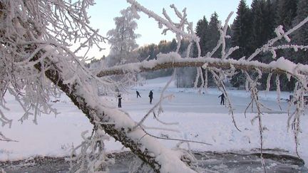 Ain : au Poizat-Lalleyriat, un lac devient patinoire dès les premiers grands froids