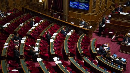 Le Sénat, le 4 novembre 2022, à Paris. (MAGALI COHEN / HANS LUCAS / AFP)