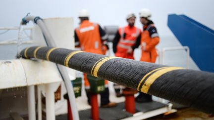 Des employés d'ERDF déploient un câble sous-marin entre Quiberon et Belle-Île-en-mer en mars 2015. Photo d'illustration (JEAN-SEBASTIEN EVRARD / AFP)