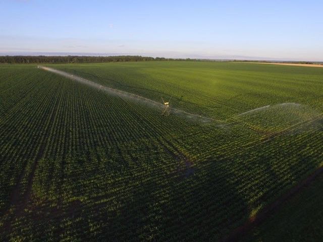 Une rampe frontale irrigue le champs de maïs d'Olivier Guyon, à Mesves-sur-Loire (Nièvre).&nbsp; (LORIS GUYON)