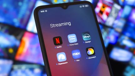 Netflix, Disney+ et Prime Video ont versé 362 millions d'euros pour la création française en 2023