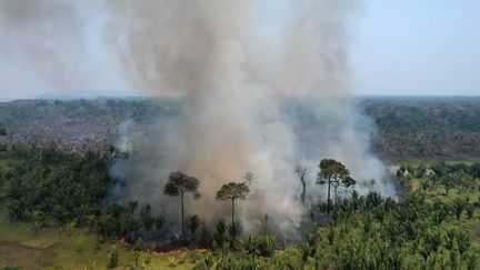 La forêt tropicale amazonienne en feu au parc national&nbsp;Mapinguari, à Porto Velho, au Brésil, le 1er septembre 2022. (DOUGLAS MAGNO / AFP)