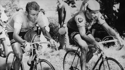 Jacques Anquetil et Raymond Poulidor au coude-à-coude sur les routes du Puy de Dôme, le 13 juillet 1964, sur le Tour de France. (PICTURE ALLIANCE / PICTURE ALLIANCE)