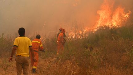 Des pompiers interviennent lors d'un incendie en Sicile, le 10 juillet 2017. (GIOVANNI ISOLINO / AFP)