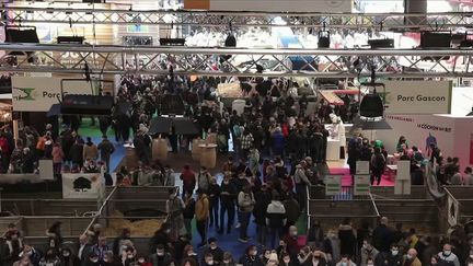 Salon de l’agriculture : des retrouvailles attendues pour un secteur en souffrance