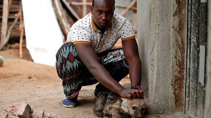 «C’est un privilège accordé par Dieu de pouvoir être ami avec ces animaux incompris. «J'ai un bébé hyène dans ma maison et je le garde dans ma chambre. Je n’ai pas peur du tout qu’il me morde quand je dors.»  (Tiksa Negeri / Reuters)