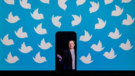 Elon Musk, sur un écran d'ordinateur rempli de logos Twitter à Washington DC, 5 août 2022. (SAMUEL CORUM / AFP)