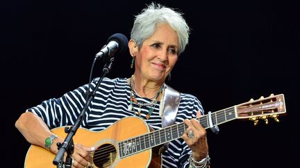 Joan Baez, lors de son concert aux Vieilles Charrues, à Carhaix, le 19 juillet 2015. (JEROME FOUQUET / MAXPPP)