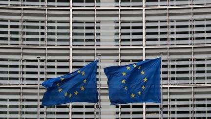 Des drapeaux européens flottent à Bruxelles au second jour d'un sommet spécial du Conseil européen, le 21 février 2020. Photo d'illustration. (LUDOVIC MARIN / AFP)