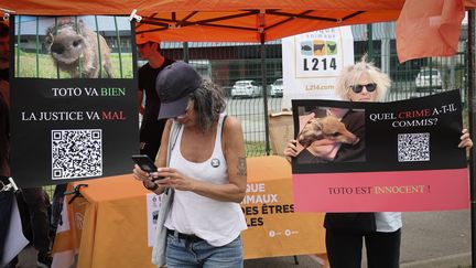 A gathering of associations in support of "Toto" the wild boar, in Saint-Laurent-Blangy (Pas-de-Calais), July 25, 2024. (SEVERINE COURBE / LA VOIX DU NORD / MAXPPP)