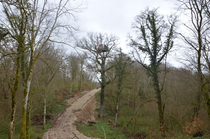 La cabane du levant, le 1er avril 2017 au Bois Lejuc (Meuse). (THOMAS BAIETTO / FRANCEINFO)