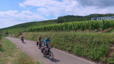 Tourisme : visiter les vignes d’Alsace à vélo