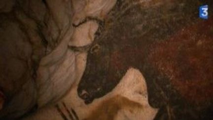 70 ans de la grotte de Lascaux : une caméra de France 3 autorisée à filmer
 (Culturebox)