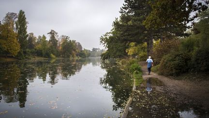 Une information judiciaire pour assassinat a été ouverte, mardi 19 décembre 2017, après la découverte d'un corps dans le bois de Boulogne à Paris. Photo d'illustration) (MARTIN BUREAU / AFP)