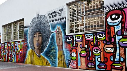 En Afrique australe, l’Afrique du Sud domine largement l’art du graffiti. Souvent inspirés par les tendances du street art mondial et de la culture hip-hop très présente dans le pays, les artistes ont acquis une notoriété internationale. Pendant l’apartheid, peindre sur les murs pouvait vous emmener directement en prison. Mais après son abolition en 1991, les Cape Flats (bidonvilles du Cap) sont devenus les premiers territoires conquis par les graffeurs. Des grandes fresques sont réapparues sur les murs pour aborder des sujets comme l’éducation, la promotion des droits de l’Homme ou la lutte contre le sida. Au milieu des années 2000, le street art a définitivement conquis l’Afrique du Sud et dans une moindre mesure, la Namibie et le Botswana.&nbsp; &nbsp; &nbsp; (DBONGZ ET SENZART911)