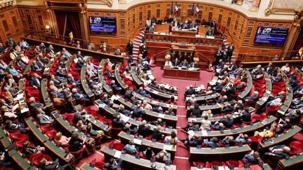 La séance de questions au gouvernement, au Sénat, le 5 juillet 2023 à Paris. (LAURE BOYER / AFP)