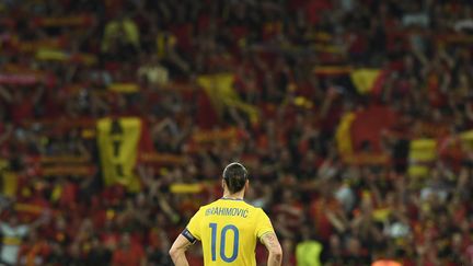 Zlatan Ibrahimovic, l'attaquant de la Suède, a pris sa retraite internationale après l'Euro. (JONATHAN NACKSTRAND / AFP)