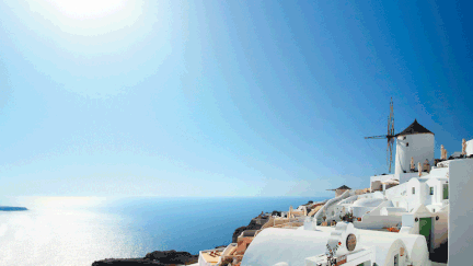 Santorin : le calvaire des ânes maltraités pour le tourisme