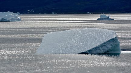 Un iceberg au Groenland, le 19 août 2017. (KARLHEINZ SCHINDLER / DPA-ZENTRALBILD / AFP)