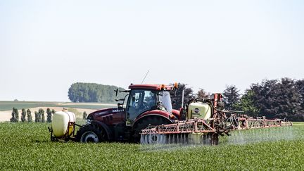 Un tracteur pulvérise son champ à l'aide d'un traitement fongicide en Belgique, le 8 mai 2018. (photo d'illustration)&nbsp; (JEAN-MARC QUINET / AFP)