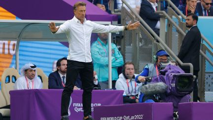 Hervé Renard durant Arabie saoudite-Argentine, le 22 novembre 2022 à Lusail. (ODD ANDERSEN / AFP)