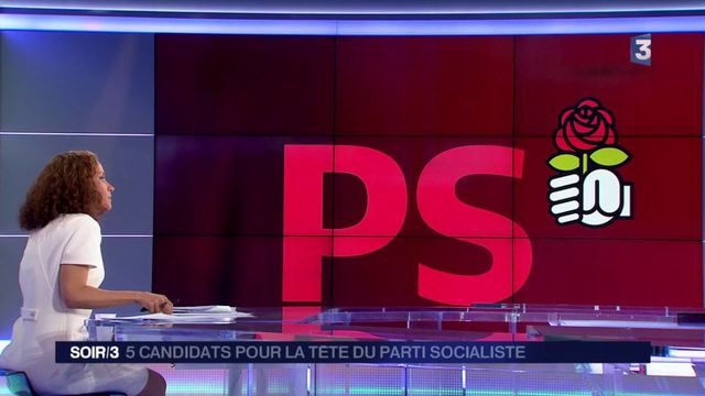 Parti Socialiste : Cinq Candidats En Lice Pour Relever Le Parti