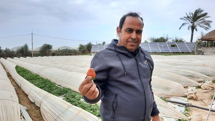 Akhran Abou Khoussa, producteur de fruits et légumes, dont des fraises, à Gaza. (FREDERIC METEZEAU / RADIO FRANCE)