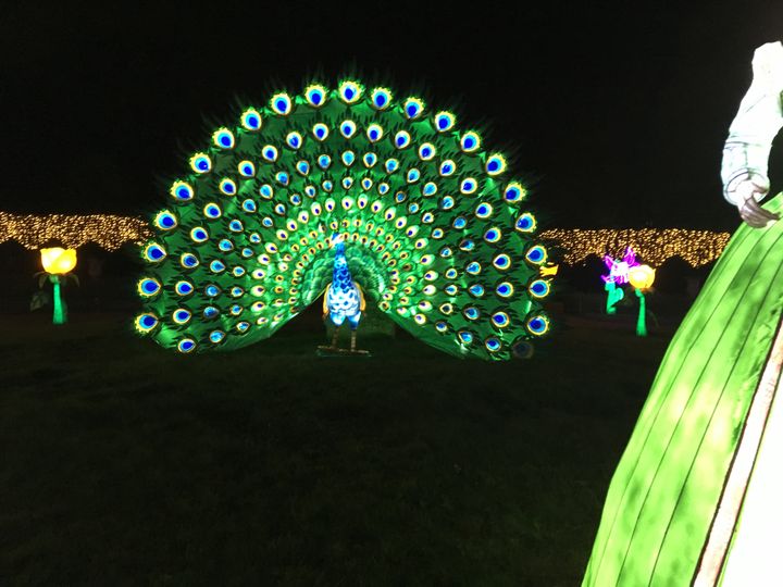 Illuminations dans le parc de Thoiry, édition 2019-2020. (INGRID POHU / RADIO FRANCE)