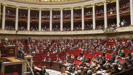 L'h&eacute;micycle de l'Assembl&eacute;e nationale au moment du vote sur le mariage pour tous, le 23 avril 2013 &agrave; Paris. (CHARLES PLATIAU / REUTERS)