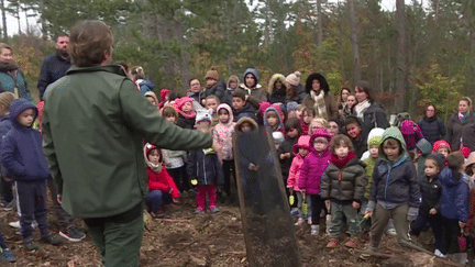 Environnement : dans le Mont Ventoux, des jeunes enfants replantent des arbres (France 3)