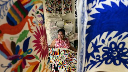 La créatrice mexicaine&nbsp;Glafira Candelaria Jose de l'ethnie Otomie au milieu de ses créations au village de San Nicolas, à Tenango de Doria au Mexique, le 18 juin 2019. (PEDRO PARDO / AFP)