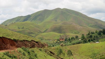 Environnement : une tourbière contenant des milliards de tonnes de carbone découverte au Congo