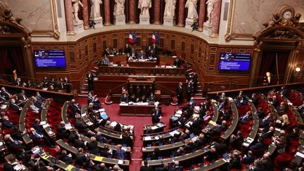 L'hémicycle du sénat à Paris, le 17 novembre 2021. (QUENTIN DE GROEVE / HANS LUCAS / AFP)