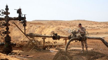 Champ pétrolier de Jazal, près de palmyre, aux mains de l'armée syrienne, en mars 2015. (AFP/STR)