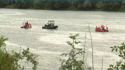 Béluga dans la Seine : un sauvetage attendu