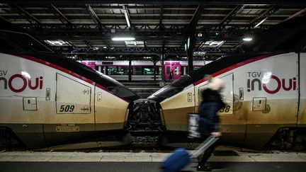 Une passagère sur le quai de la gare de l'Est à Paris, le 23 décembre 2019. Photo d'illustration. (STEPHANE DE SAKUTIN / AFP)