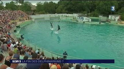 La fin des delphinariums ?