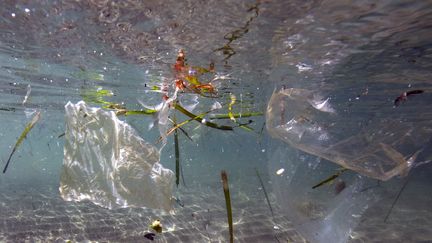 Du plastique flotte dans les eaux marseillaises, le 30 mai 2019. (BORIS HORVAT / AFP)