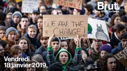 Le 24 janvier, ils étaient 35 000 dans les rues de Bruxelles pour militer lors de la troisième "grève de l'école pour le climat". (BRUT)