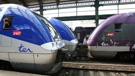 &nbsp; (La direction de la SNCF espère un retour à la normal du trafic des TER d'ici lundi matin. © Maxppp)